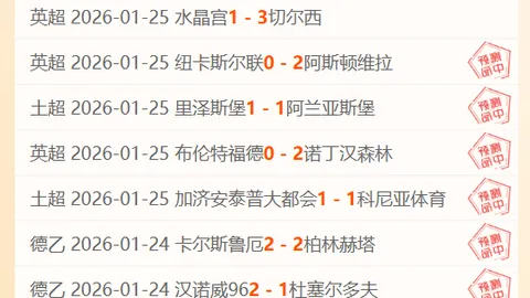 大乐透期号专家质合分析：佩西加雅加达客场胜算解析